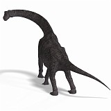 Brachiosaurus 36 A_0001